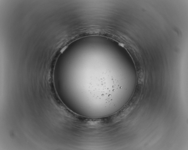 X0000111370560200907101213