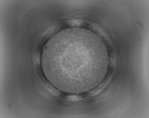 X0000111370561200907101213