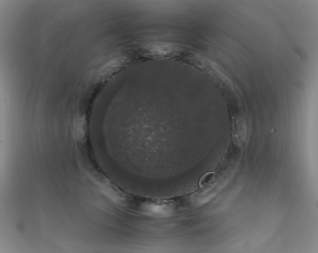 X0000111370563200907101213