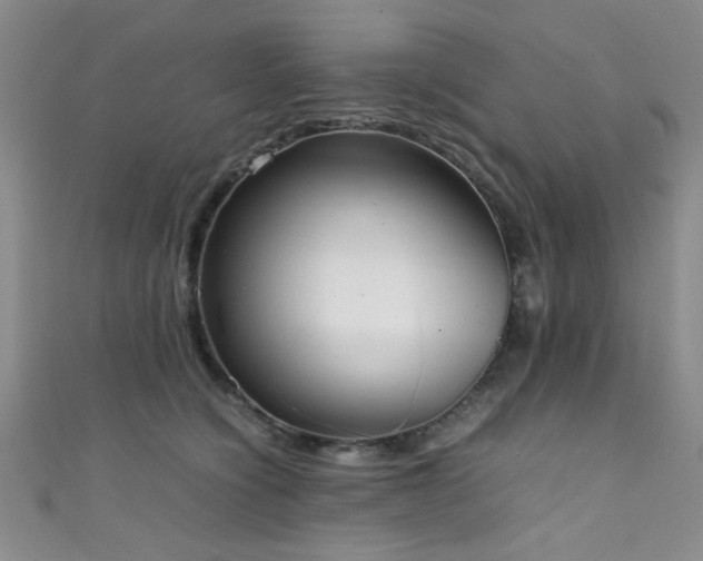 X0000111370564200907101213