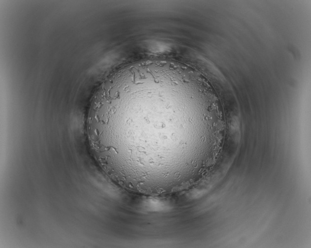 X0000111370565200907101213