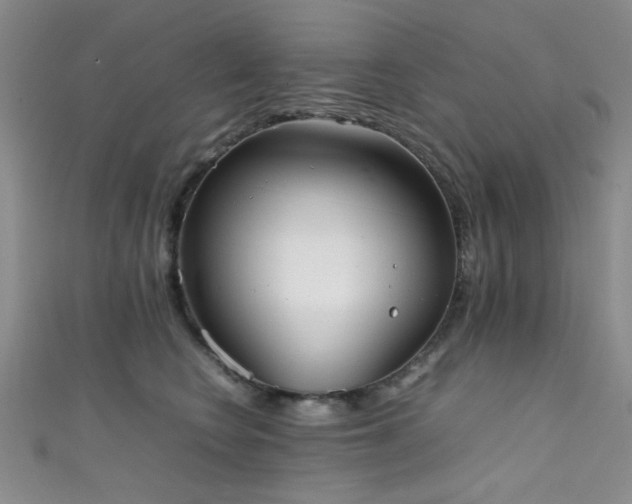 X0000111370566200907101213