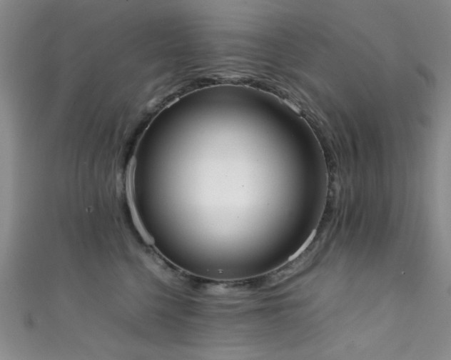 X0000111370568200907101213