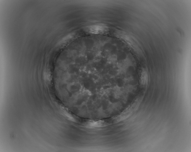 X0000111370569200907101214