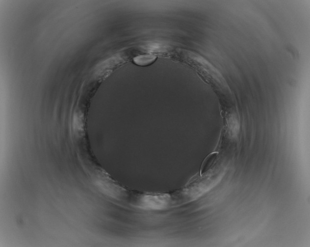 X0000111370571200907101214