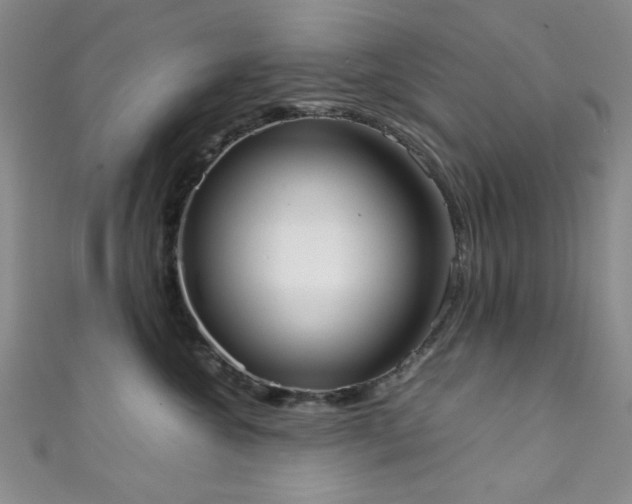 X0000111370572200907101214