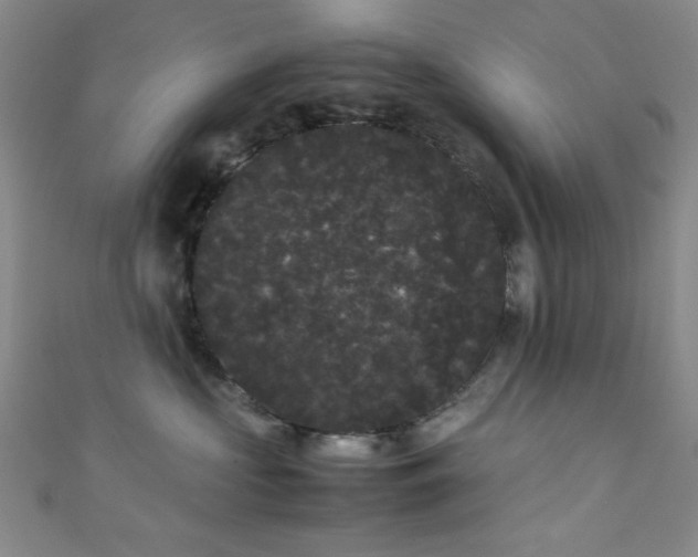 X0000111370573200907101214