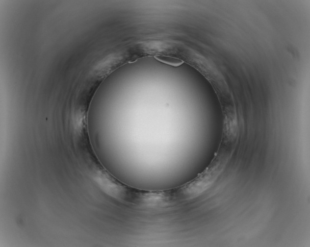 X0000111370574200907101214