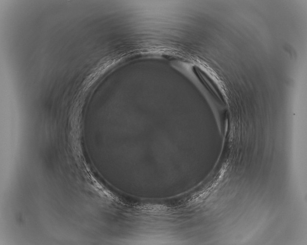X0000111370577200907101213