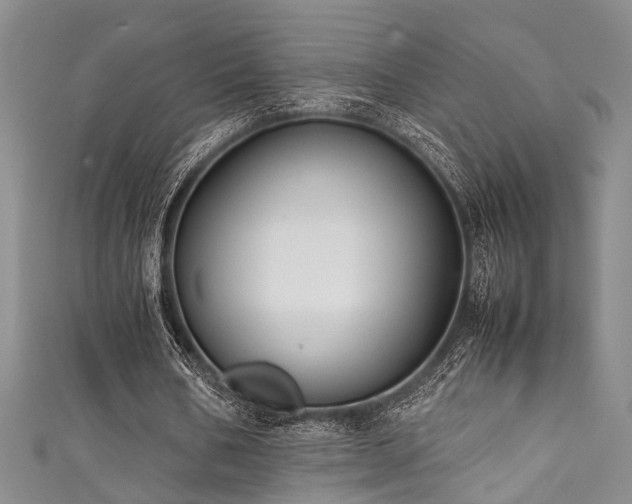 X0000111370578200907101213