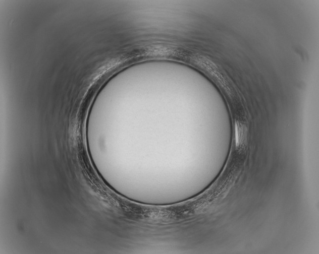 X0000111370579200907101213