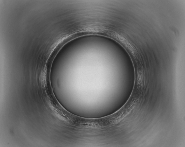 X0000111370580200907101213