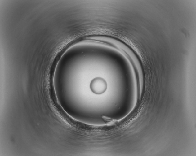 X0000111370581200907101213