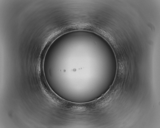 X0000111370582200907101213