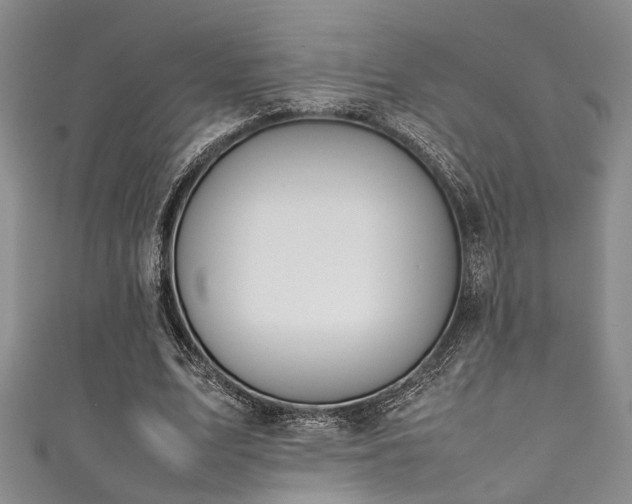 X0000111370583200907101213