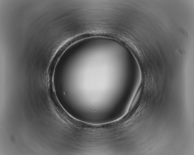 X0000111370584200907101213