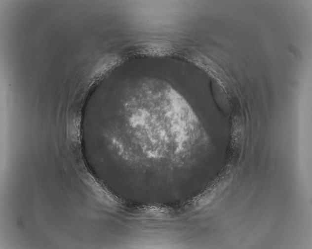 X0000111370585200907101213