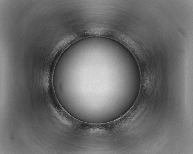 X0000111370586200907101213