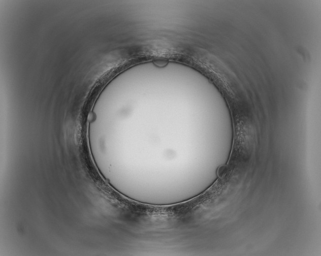 X0000111370587200907101213