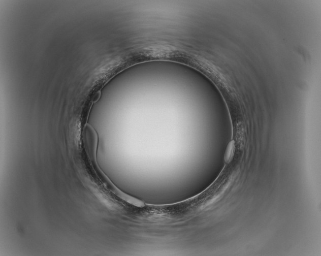 X0000111370589200907101213