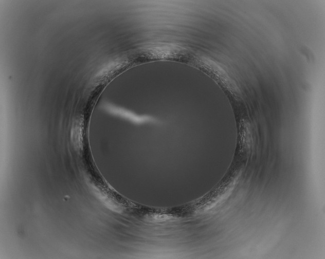 X0000111370590200907101213