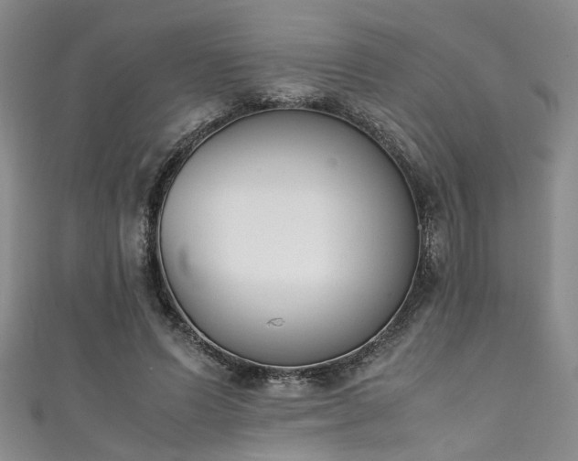 X0000111370591200907101213