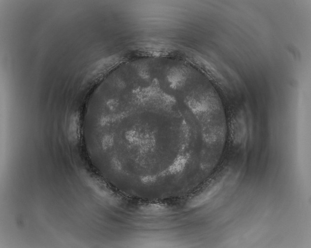 X0000111370594200907101213