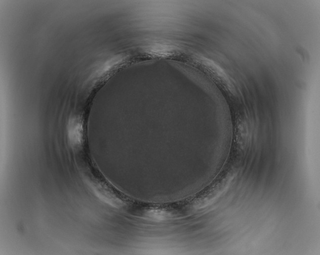 X0000111370596200907101213