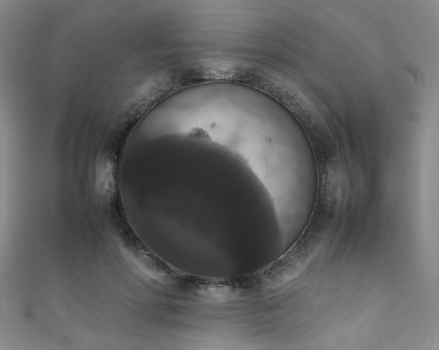 X0000111370598200907101213