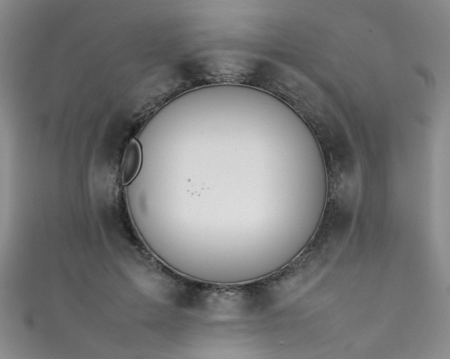 X0000111370599200907101213