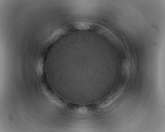 X0000111370600200907101213