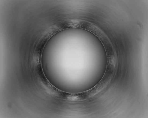 X0000111370602200907101212