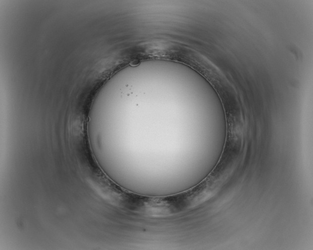 X0000111370603200907101212