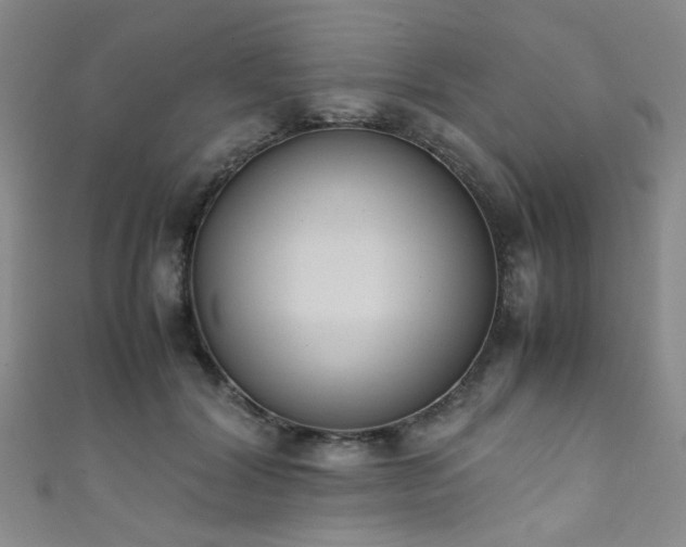 X0000111370604200907101212