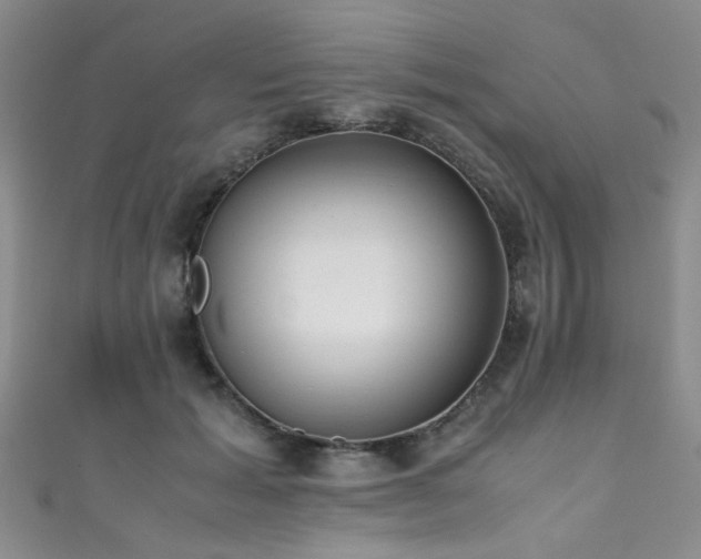 X0000111370605200907101212