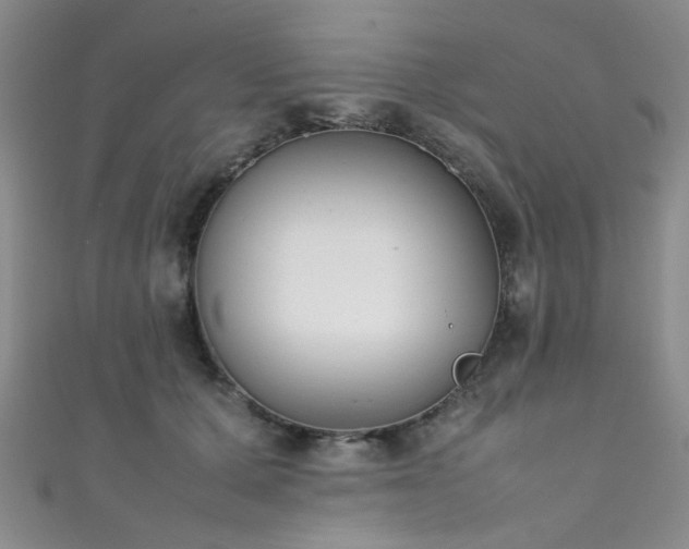 X0000111370607200907101212