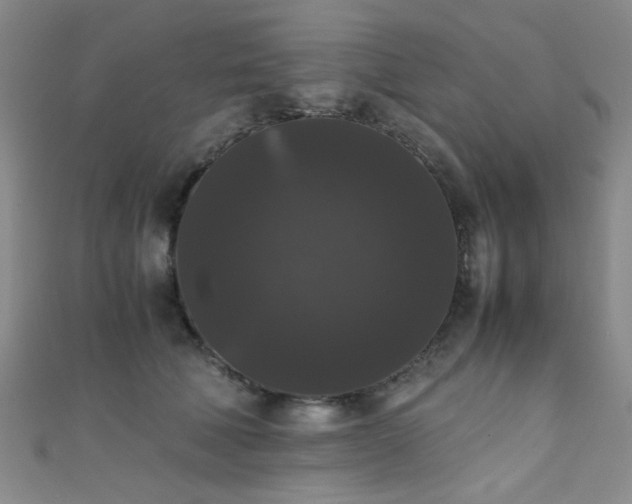 X0000111370610200907101212