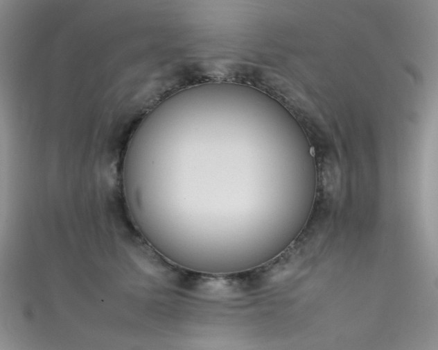 X0000111370611200907101212