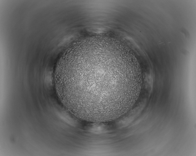 X0000111370612200907101212