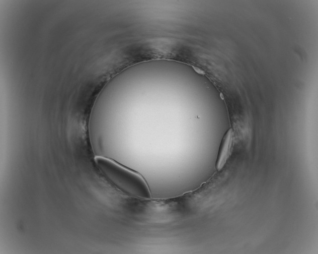 X0000111370613200907101212