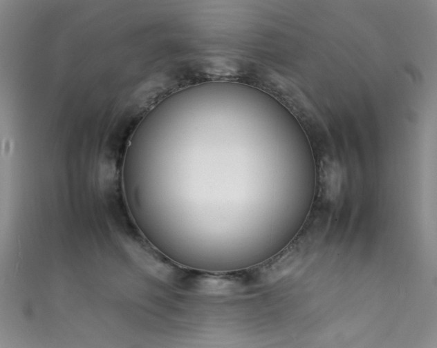 X0000111370614200907101212