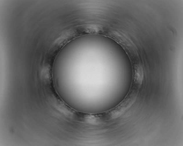 X0000111370616200907101212