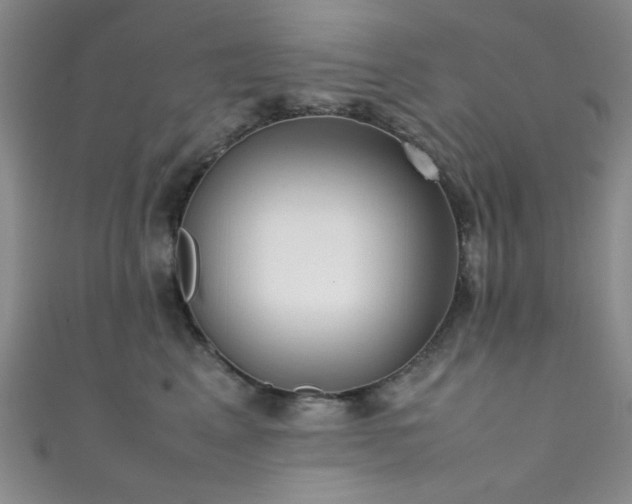 X0000111370617200907101212