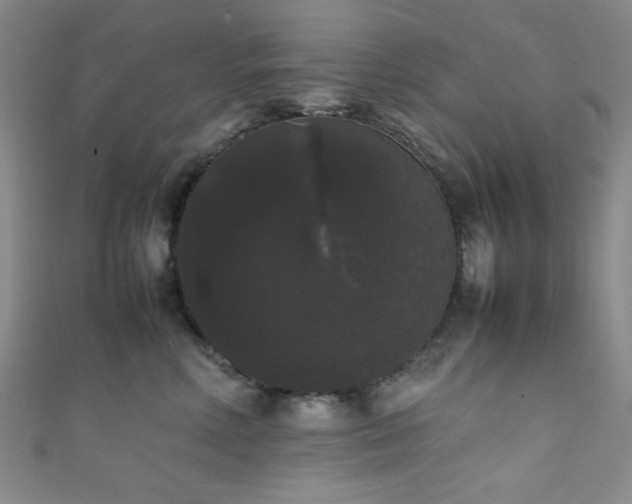 X0000111370618200907101212