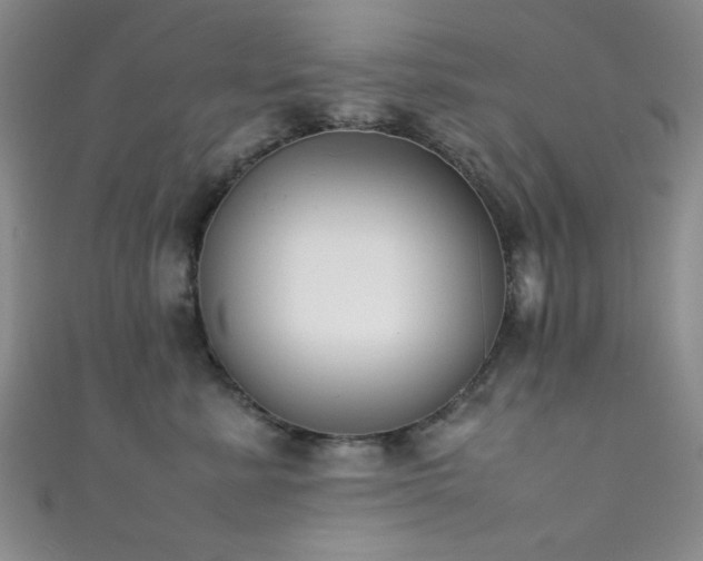 X0000111370619200907101212