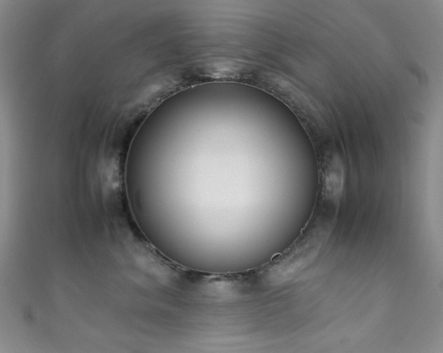 X0000111370620200907101212