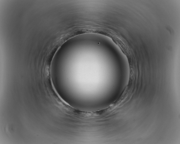 X0000111370621200907101212