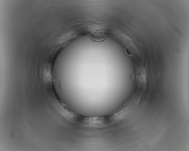 X0000111370622200907101212