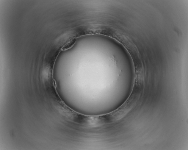 X0000111370623200907101212