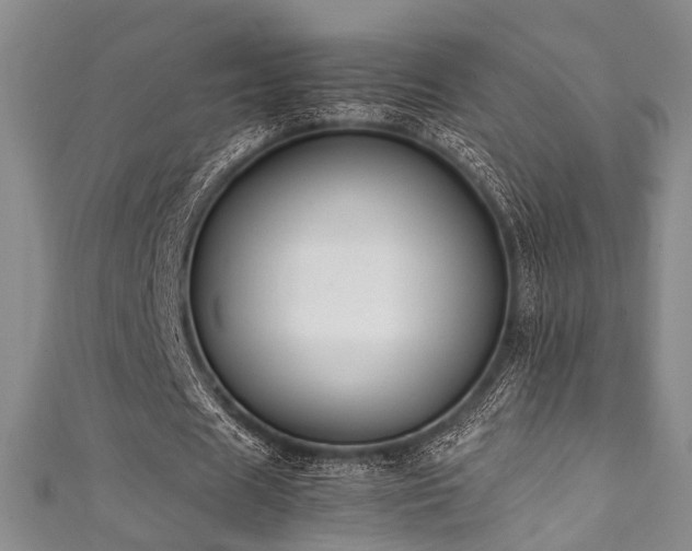 X0000111370625200907101212